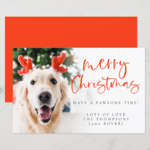 Carte de Noël Joyeuse photo pour animaux de compag