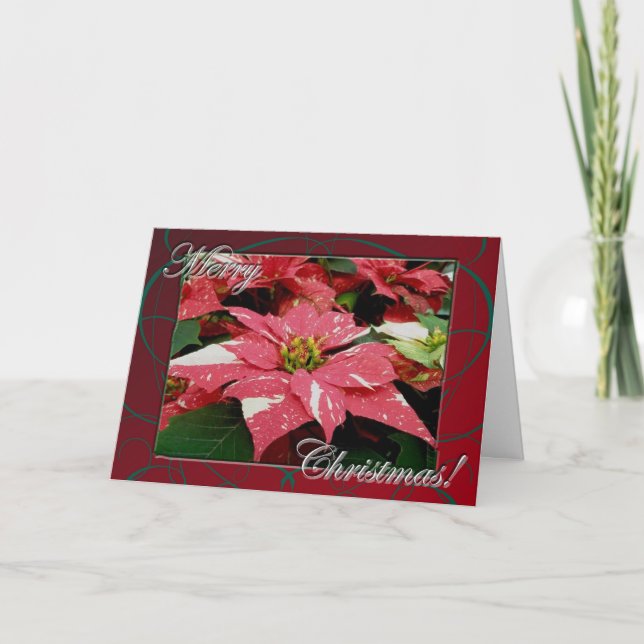 Carte de Noël joyeuse Poinsettia (Devant)