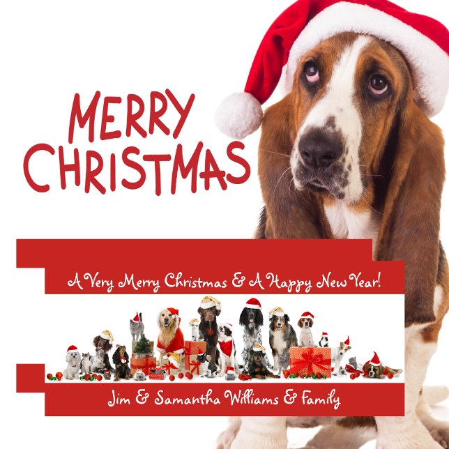 Carte de Noël Joyeux Amoureux de les chiens (Dog Lovers - Merry Christmas Card)