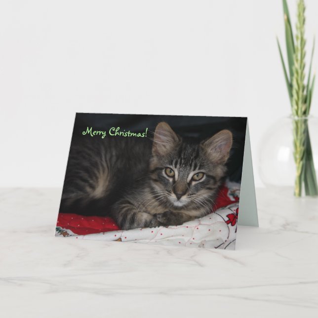 Carte de Noël Joyeux Caspien (Devant)