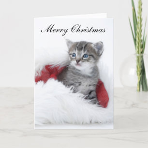 Carte de Noël Kitten