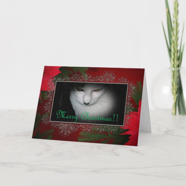 Carte de Noël Kitty Lovers ! (Devant)