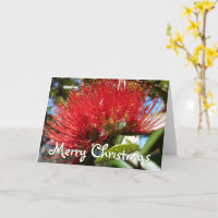 CARTE DE NOËL KIWI POHUTAKAWA PERSONNALISABLE