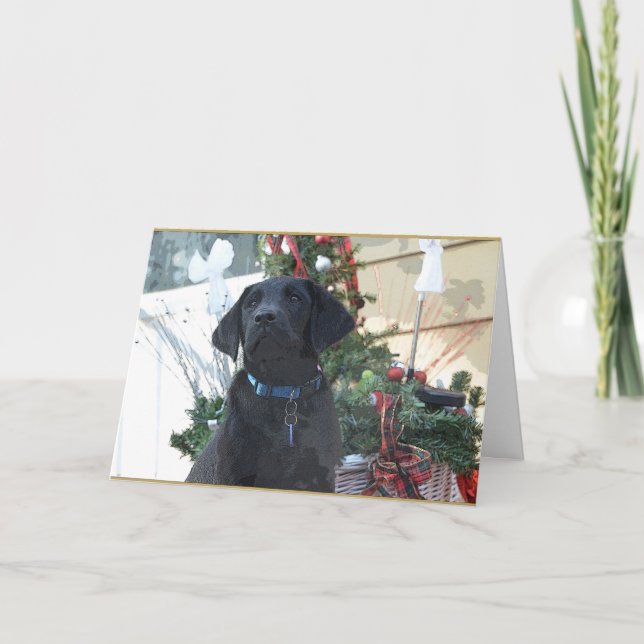 Carte de Noël ~ Labrador Retriever (Devant)
