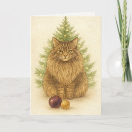 Carte de Noël - Maine Coon Cat