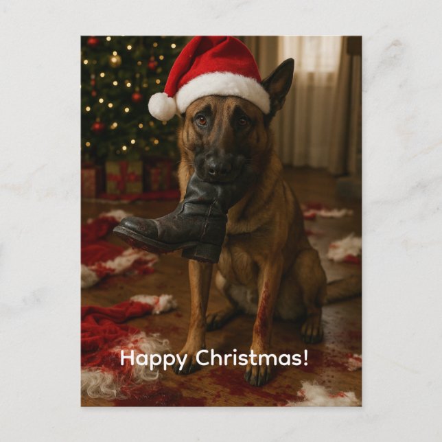 Carte de Noël Malinois belge mangeant le Père Noël (Devant)