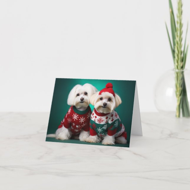 Carte de Noël Maltais Terriers (Devant)