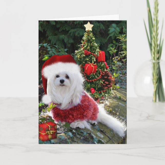 Carte de Noël maltaise (Devant)