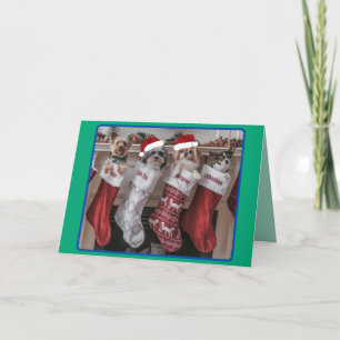 Carte de Noël Manteau Petit Chien de Noël