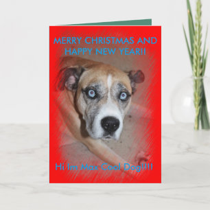 Carte de Noël Max Pet Dog