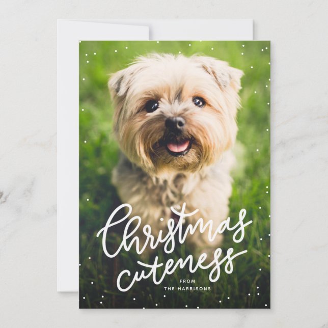Carte de Noël mignonne avec animal de compagnie (Devant)