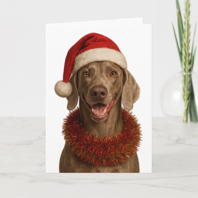 Carte de Noël mignonne de Weimaraner (Devant)
