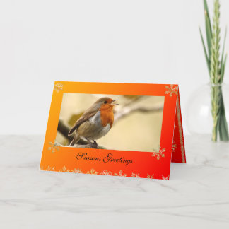 Carte de Noël Modèle Robin chantant