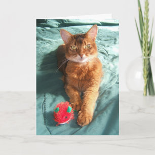 Carte de Noël Mousey de Catmas