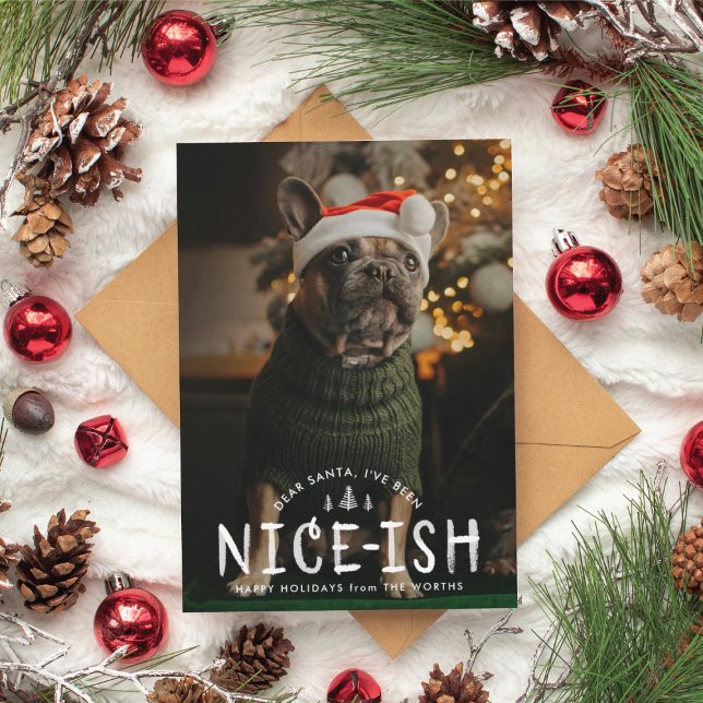 Carte de Noël Nice Naughty ou Nice Funny Dog (funny pet cards for dog owners)