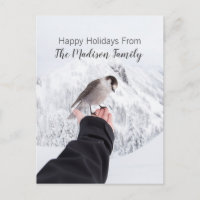 Carte de Noël Oiseau d'Hiver Dans la Neige