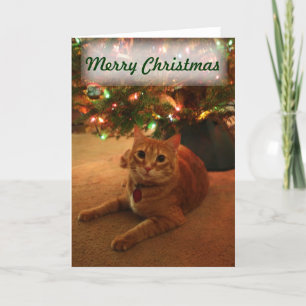 Carte de Noël Orange Tabby