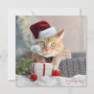 Carte de Noël orange Tabby FLAT 5,25 pouces