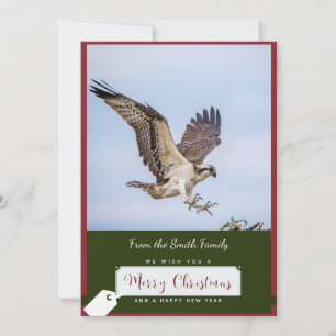 Carte de Noël Osprey