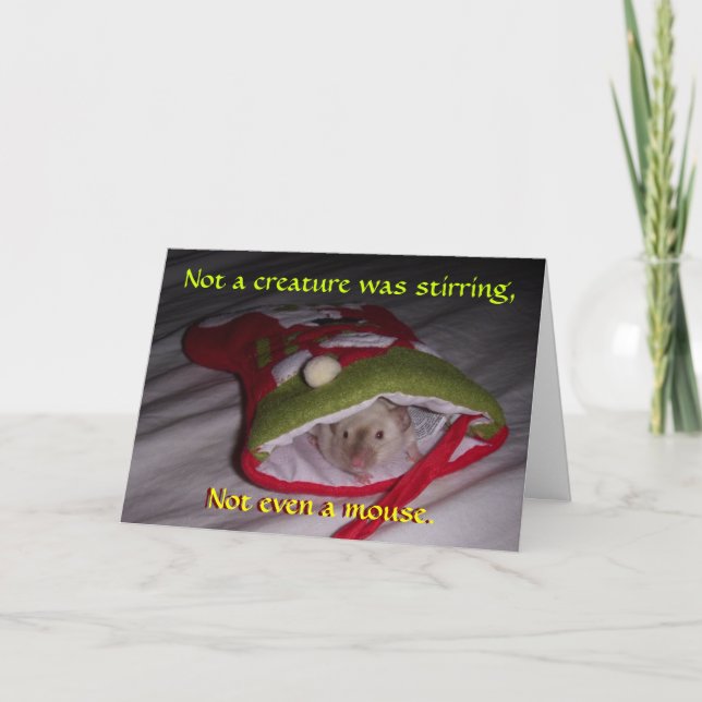 Carte de Noël : Pas même une souris (Devant)