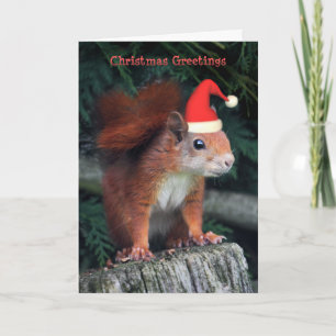 Carte de Noël père Noël Claws