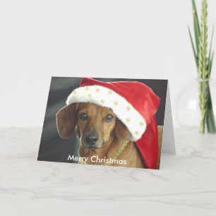Carte de Noël - Père Noël Dachshund