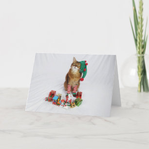Carte de Noël père Noël Kitty Elf avec été