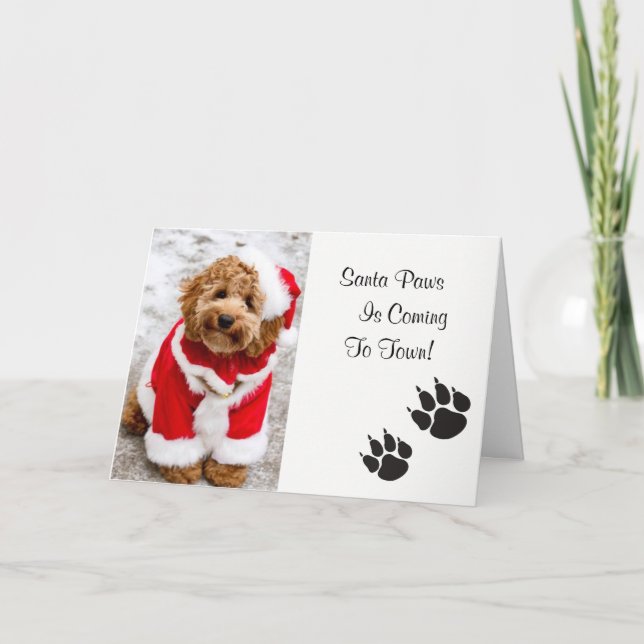 Carte de Noël père Noël Paws (Devant)