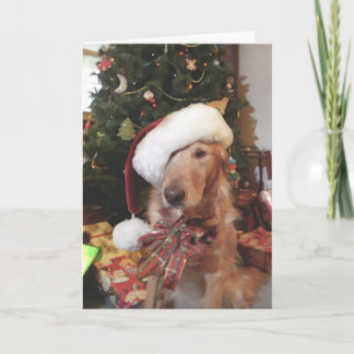 Carte de Noël père Noël Paws