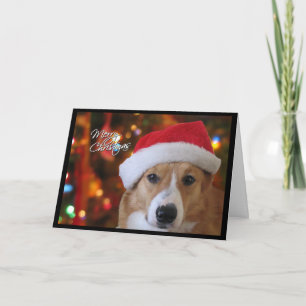 Carte de Noël père Noël Pembroke Welsh Corgi