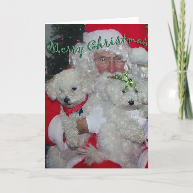Carte de Noël père Noël & Poodles (Devant)