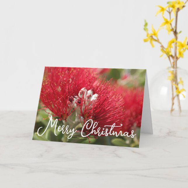 CARTE DE NOËL PERSONNALISABLE POHUTAKAWA KIWI (Fleur jaune)