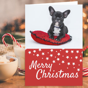 Carte de Noël personnalisée avec photo de chiot Bo