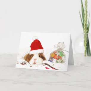 CARTE DE NOËL PERSONNALISÉE PIG GUINEE AVEC SANTA