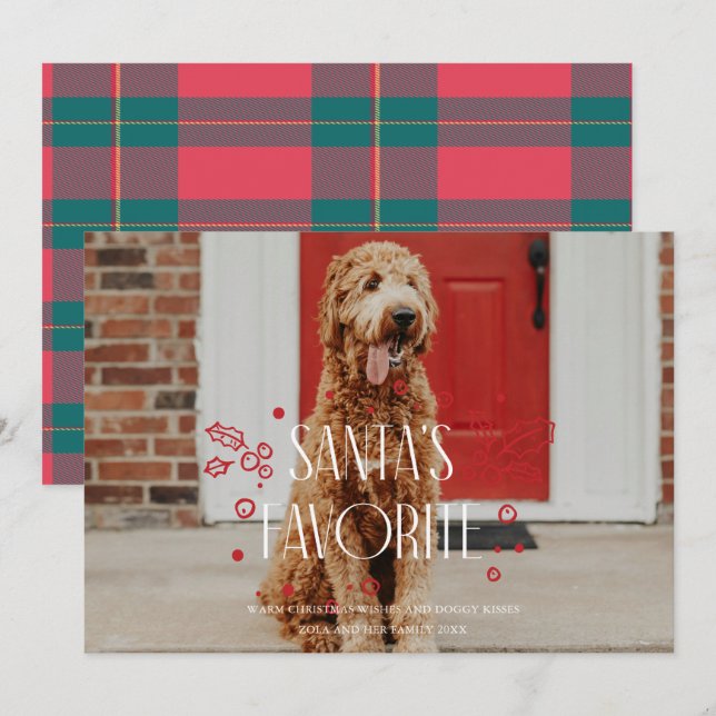 Carte de Noël photo animal de compagnie idiot préf (Devant / Derrière)