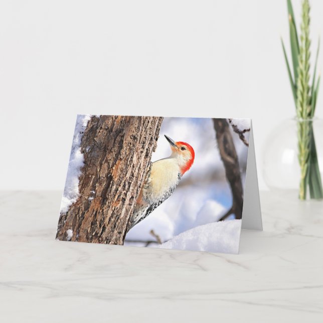 Carte de Noël Pic à ventre rouge (Devant)