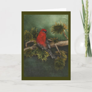 Carte de Noël Pine Grosbeak