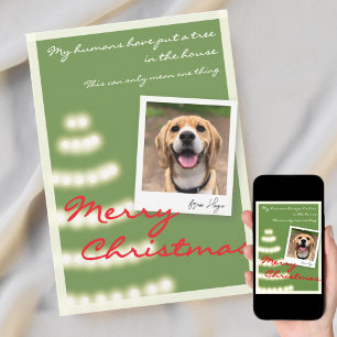 Carte de Noël plate et amusante pour animaux de co