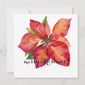 Carte de Noël Poinsettia