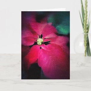 Carte de Noël Poinsettia artistique