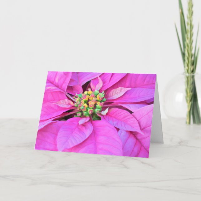 Carte de Noël - Poinsettia rose (Devant)