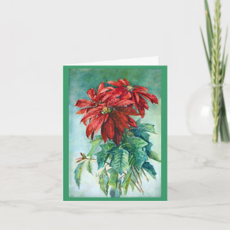 Carte de Noël Poinsettias