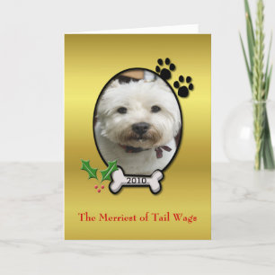 Carte de Noël pour animaux