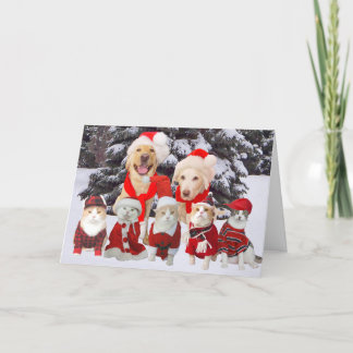 Carte de Noël pour animaux de compagnie amusants p