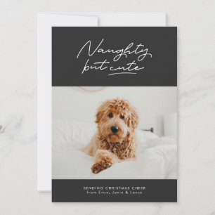 Carte de Noël pour animaux de compagnie drôle et m