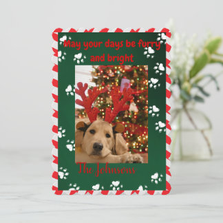 Carte de Noël pour chien brillant et fureur