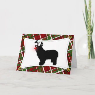 Carte de Noël pour chien de garde polonais Lowland