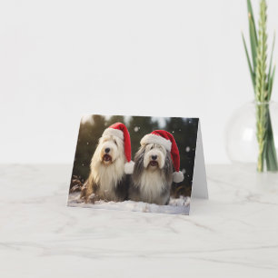 Carte de Noël pour chiens de mouton anglais