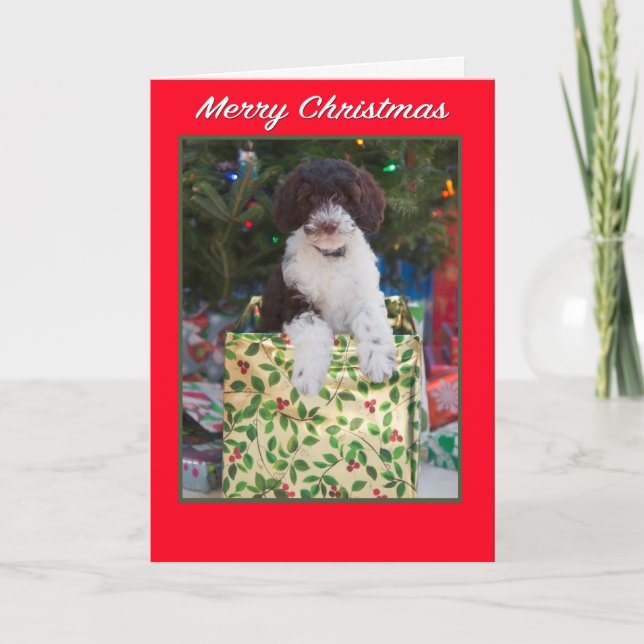 Carte de Noël pour chiot Labradoodle (Devant)