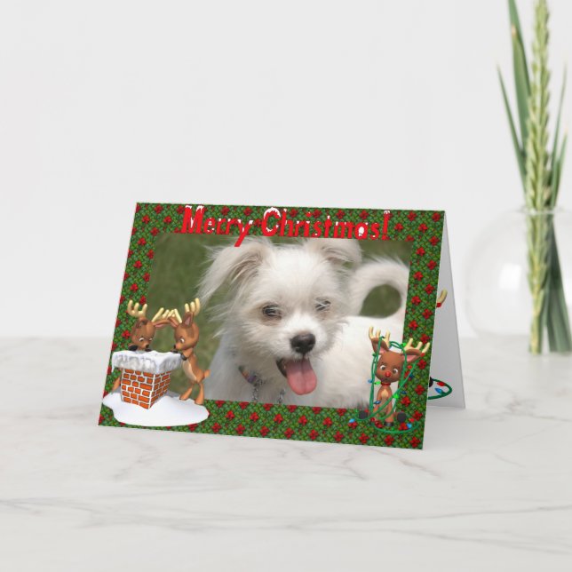 Carte de Noël pour le cadre photo Cute Reindeer (Devant)
